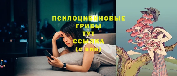 мдпв Кодинск