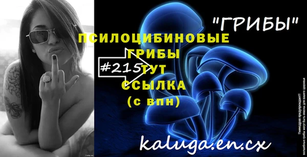 соль курить ск Козловка