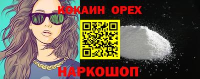 прущие грибы Новодвинск