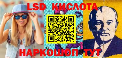 прущие грибы Новодвинск