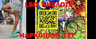 прущие грибы Новодвинск