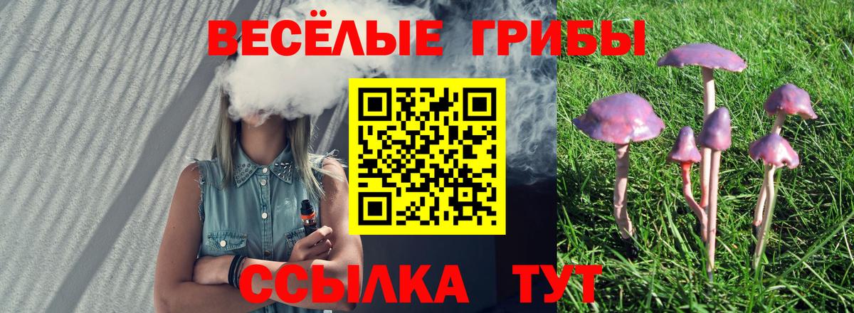 Псилоцибиновые грибы MAGIC MUSHROOMS Кореновск