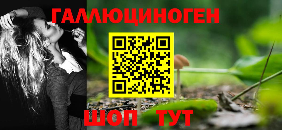 Псилоцибиновые грибы Magic Shrooms  Галлюциногенные грибы Psilocybine cubensis  Кореновск  Вход с VPN 